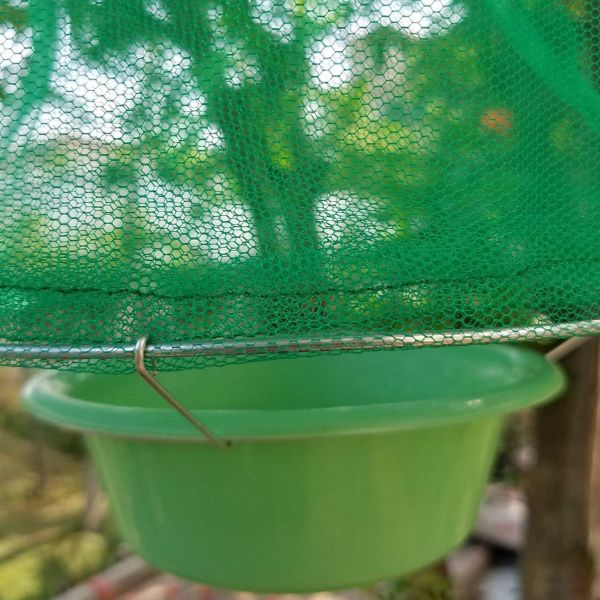 INSECTA Quality Materials