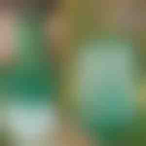 Поновлива замка за муви и инсекти за вешање | INSECTA