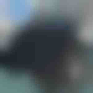 Вртлива седалка за седење | SPINPAD