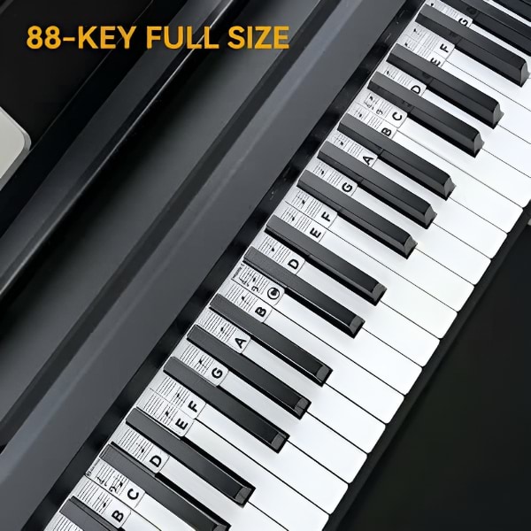MELOKEY20800__978b0aa4