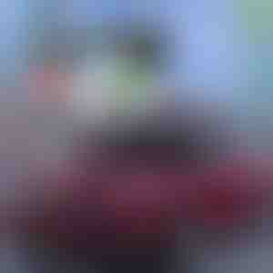 Најдобра летна заштита за автомобили! | CARCOVER