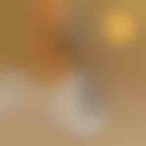 Помошник за обување без согнување | SHOEVA