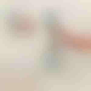 Безбедносна рачка за туш и када | HANDORKA