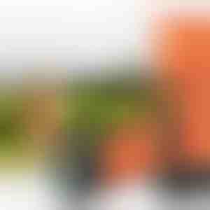 Ултразвучен уред за дресура на миленици | WOOFSTOP